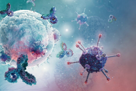 Oncology