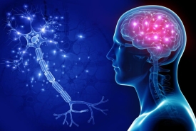 Neurology Division